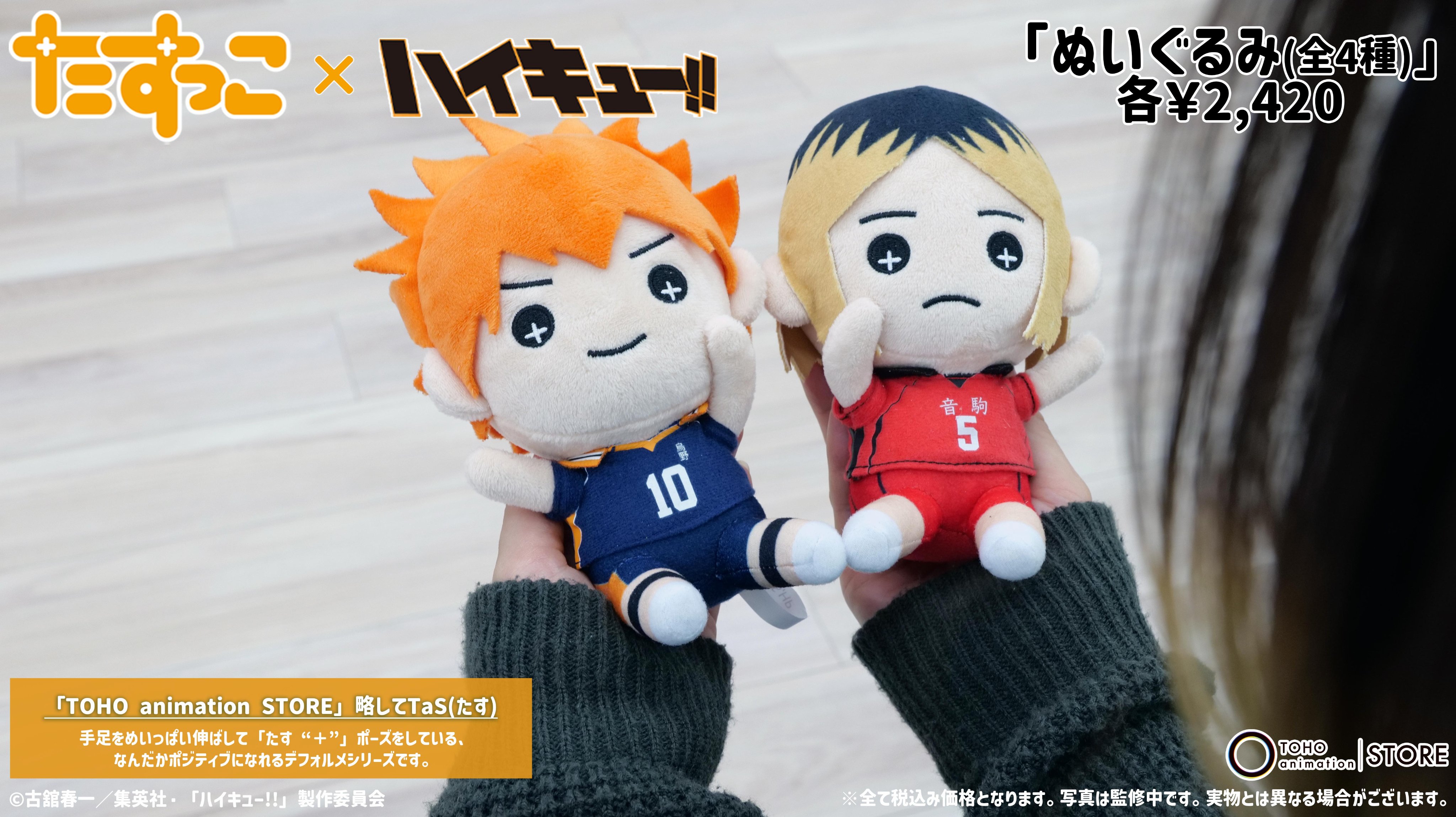 TOHO animation STORE on X: 