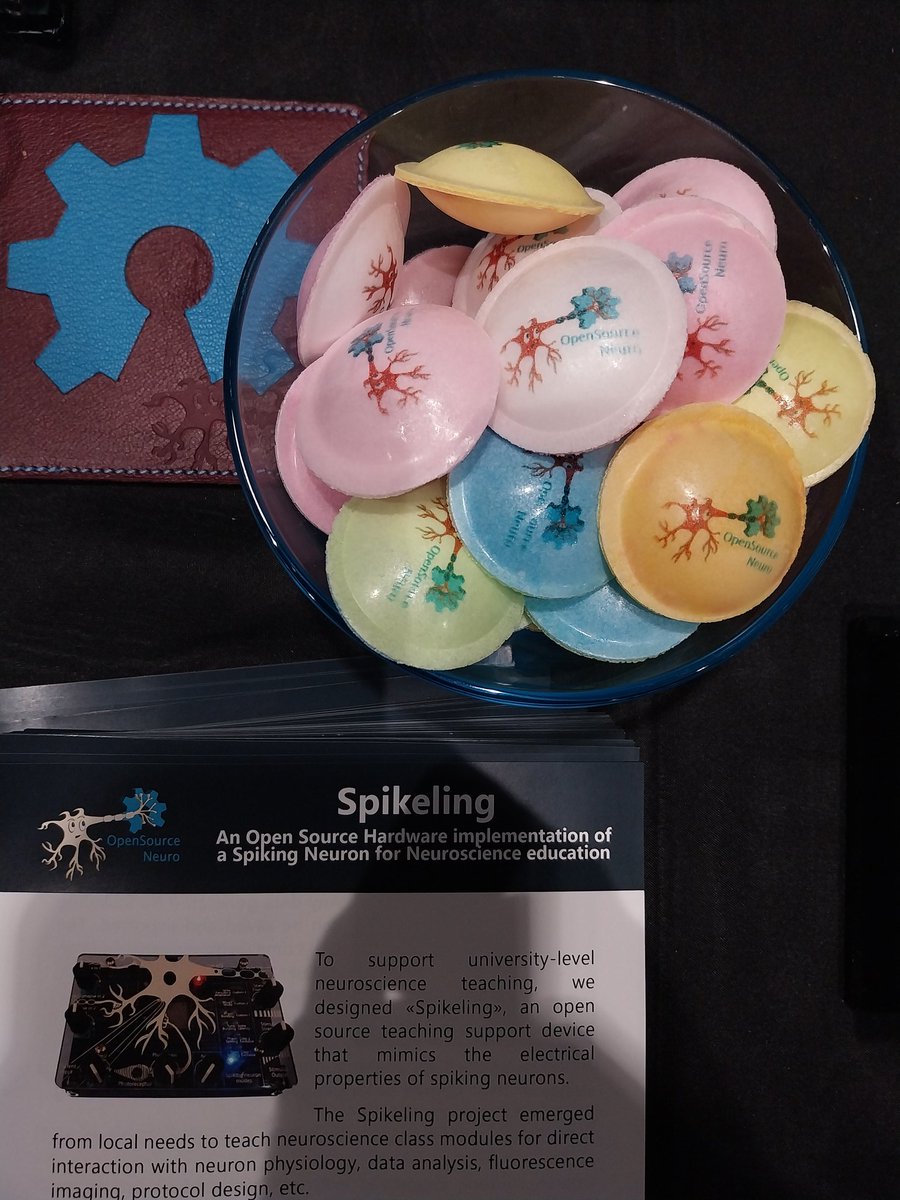 OpenSourceNeuro's tweet image. We&apos;re fully set and candies are back for this second exhibit day at #FENS2024.

Come talk with us about #openscience and #opensourcehardware with @trend_camina @OpenUc2 @sbillaudelle @eburguiere