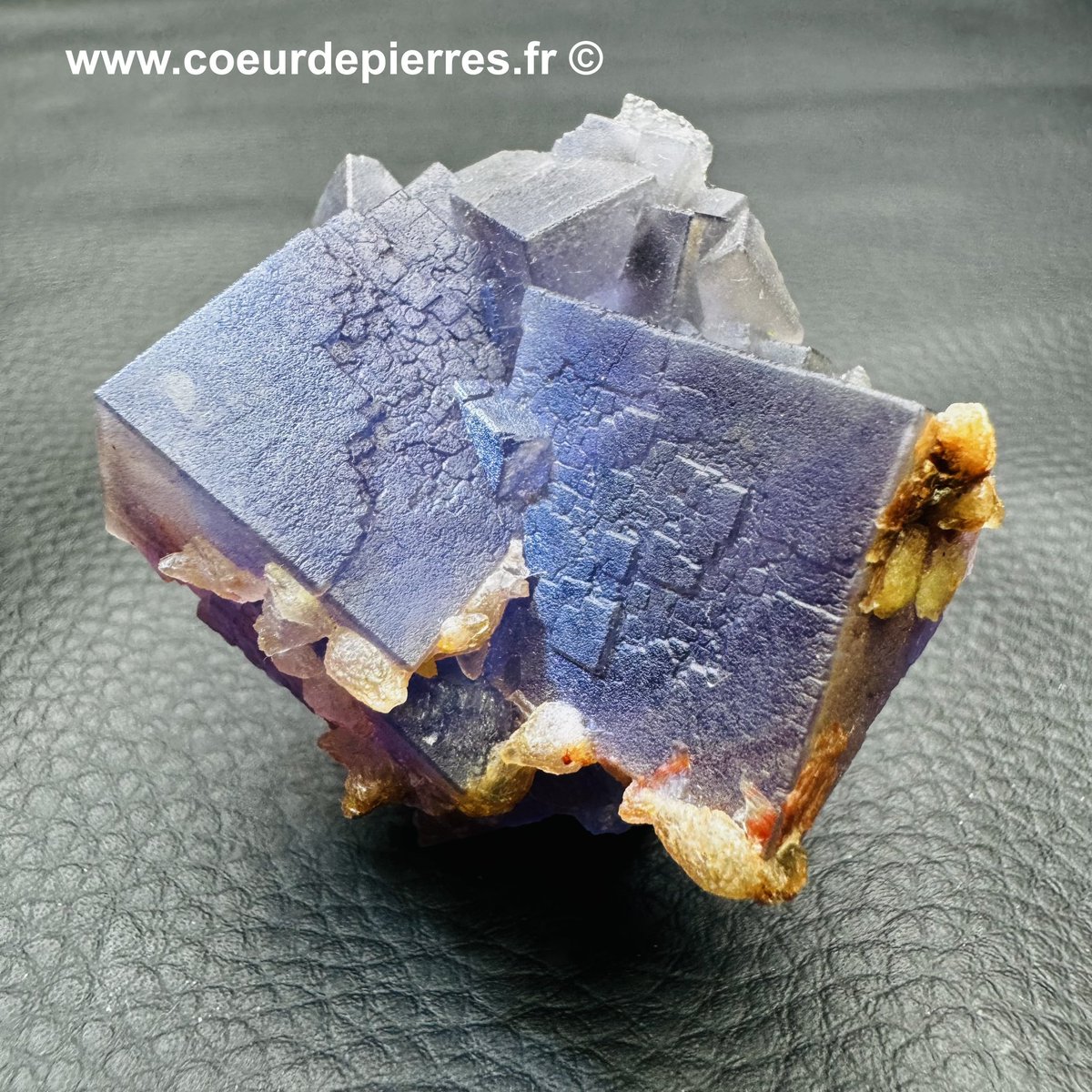 CoeurPierres's tweet photo. Découvrez nos superbes spécimens de Fluorite 💜💙

Elles sont disponibles en magasin et sur la boutique en ligne ici, 👉

https://t.co/0Ggt1yT9j7

✅ Votre navigation et vos solutions de paiements 100% sécurisé 🔐
✅ Paiement en quatre fois sans frais avec Paypal 💳 https://t.co/UbEiRQkj5O