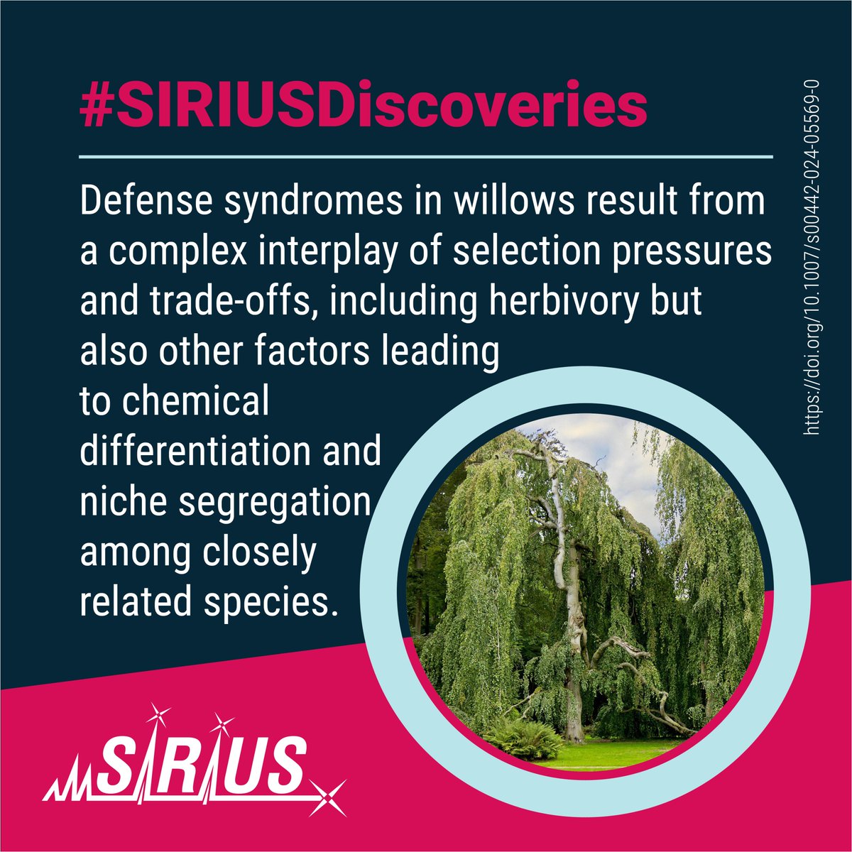 Bright Giant (@bright_giant) on Twitter photo #PlantDefenseSyndromes in willows result from complex selection pressures and trade-offs, analyzed using chemical profiling with #CSIFingerID and #CANOPUS_MS. 
📄 doi.org/10.1007/s00442…
💡 More #SIRIUSDiscoveries: bright-giant.com/discoveries/
#Herbivores #MSSoftware #SIRIUS_MS #PlantDefenseSyndromes in willows result from complex selection pressures and trade-offs, analyzed using chemical profiling with #CSIFingerID and #CANOPUS_MS. 
📄 doi.org/10.1007/s00442…
💡 More #SIRIUSDiscoveries: bright-giant.com/discoveries/
#Herbivores #MSSoftware #SIRIUS_MS