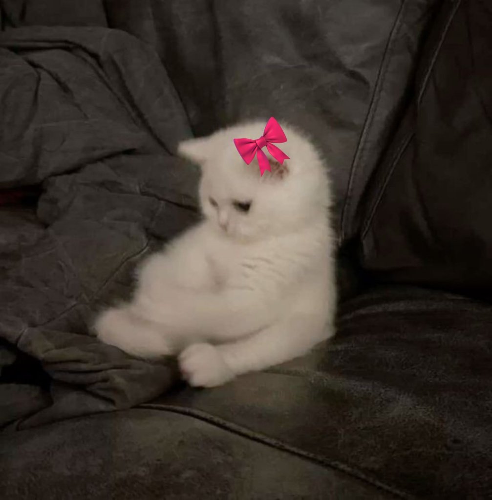JefNoor's tweet photo. 🗣️ : you're supposed to know all the drugs , you're a doctor 
Me: but I'm just a girl 😔🎀 https://t.co/7r5Qcic6oK