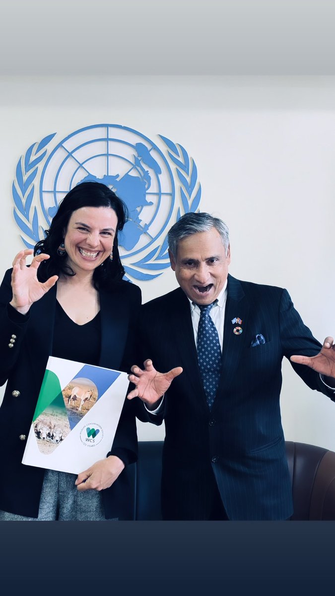 1, 2, 3… Roaring for #SnowLeopards with the UN Resident Coordinator of #Mongolia! It’s inspiring to discuss commitments to #biodiversity, and we’re thrilled he’ll join us in support as we launch our new strategy next month. Thank you Tapan 🙏🏻 <a href="/unmongolia/">UN Mongolia</a> @unrcmongolia