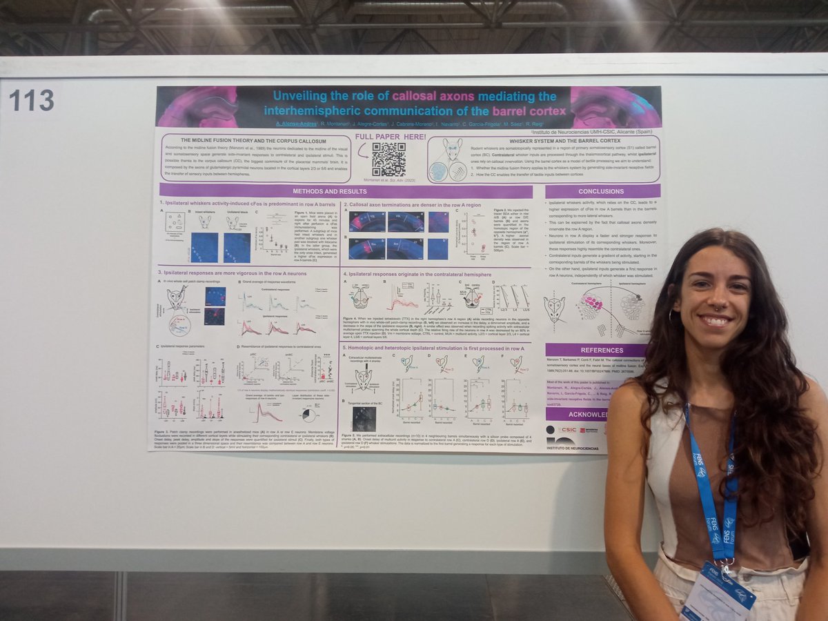 Alicia Alonso-Andres (@aliciaaandres) on Twitter photo Poster ready! I will be presenting our latest findings on how brain hemispheres communicate at the poster #113
🧠 🔄🧠
#FENS2024 <a href="/NeuroAlc/">Instituto de Neurociencias UMH-CSIC</a> <a href="/RamonReig2/">Ramon Reig</a> Poster ready! I will be presenting our latest findings on how brain hemispheres communicate at the poster #113
🧠 🔄🧠
#FENS2024 <a href="/NeuroAlc/">Instituto de Neurociencias UMH-CSIC</a> <a href="/RamonReig2/">Ramon Reig</a>