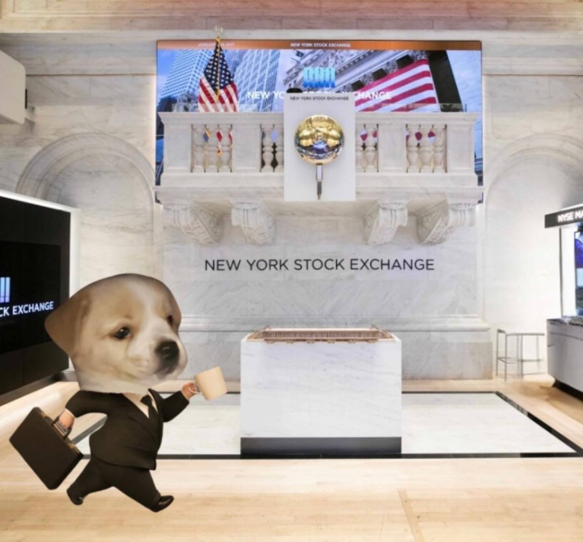 Jack is a business doggie. 

I like him a lot :)