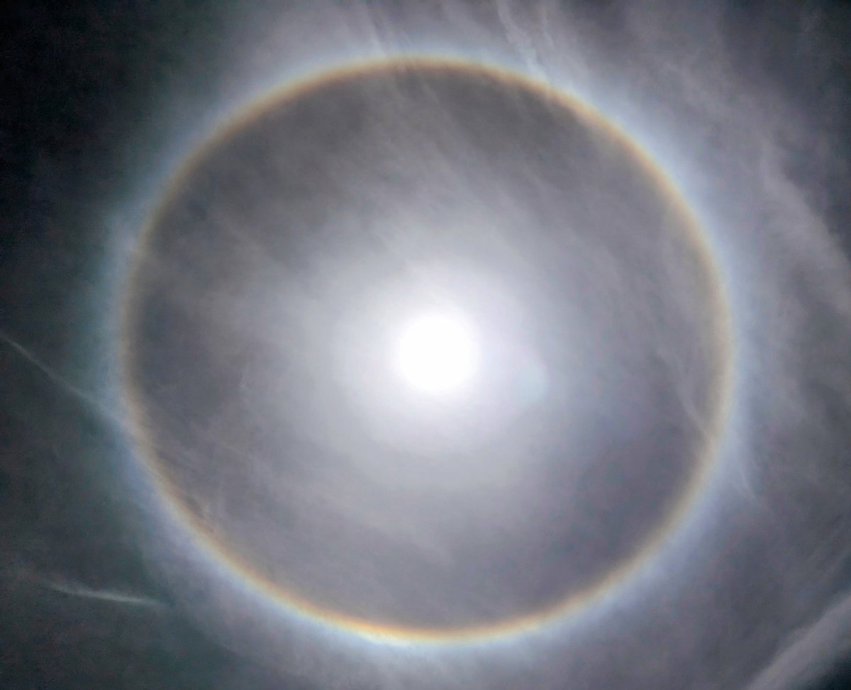 James Dilleen tweet media