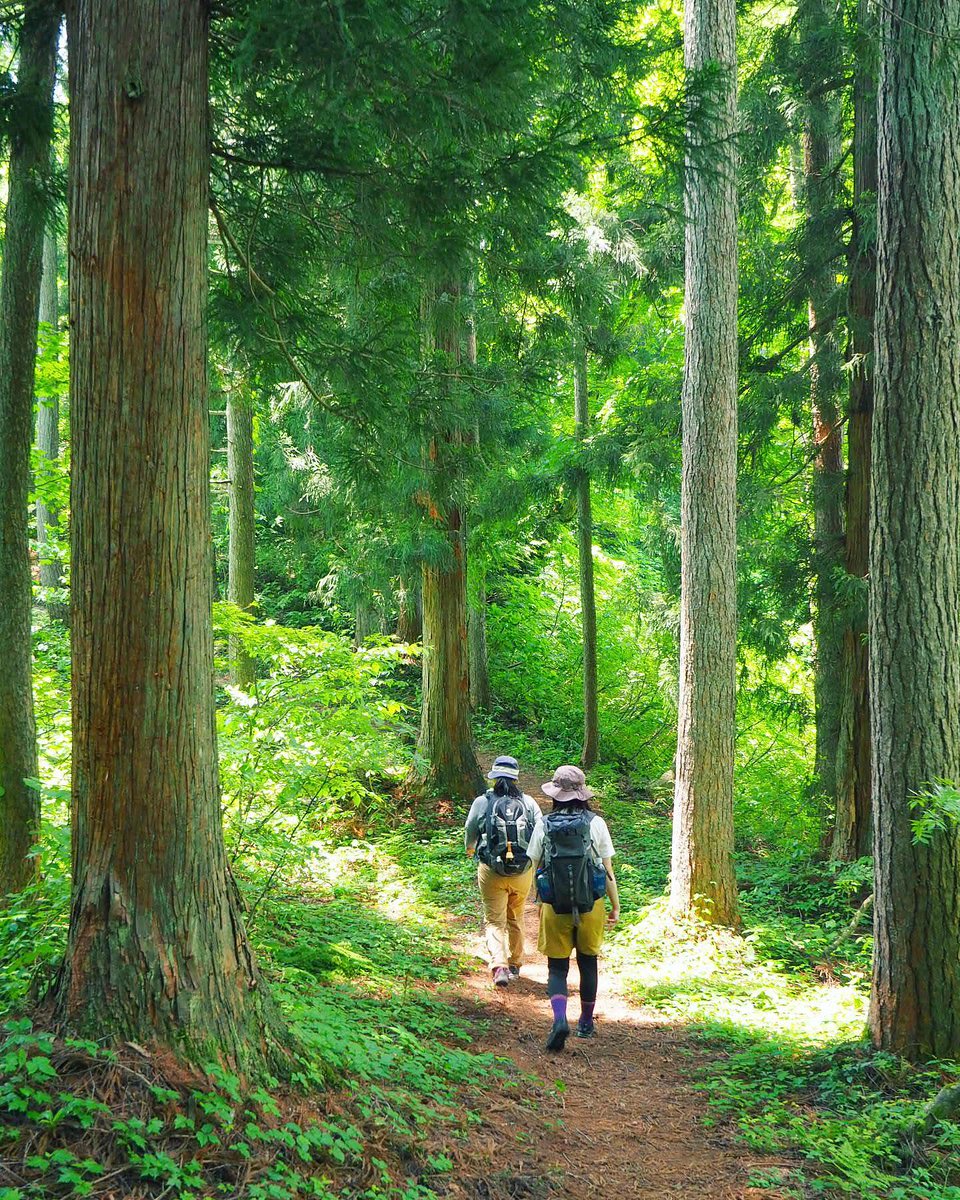 Hiking the Shinetsu Trail

madaraokogen.com/things-to-do-i…

#Madarao #Madaraoski #Madaraoweather #Madaraowebcam #Madaraosnowreport #Madaraokogen #斑尾高原 #斑尾 #斑尾高原スキー場 #tangramskicircus #タングラム斑尾東急リゾート #ski #snow #JAPOW #MADAPOW #スキー #スノーボード #shinetsutrail