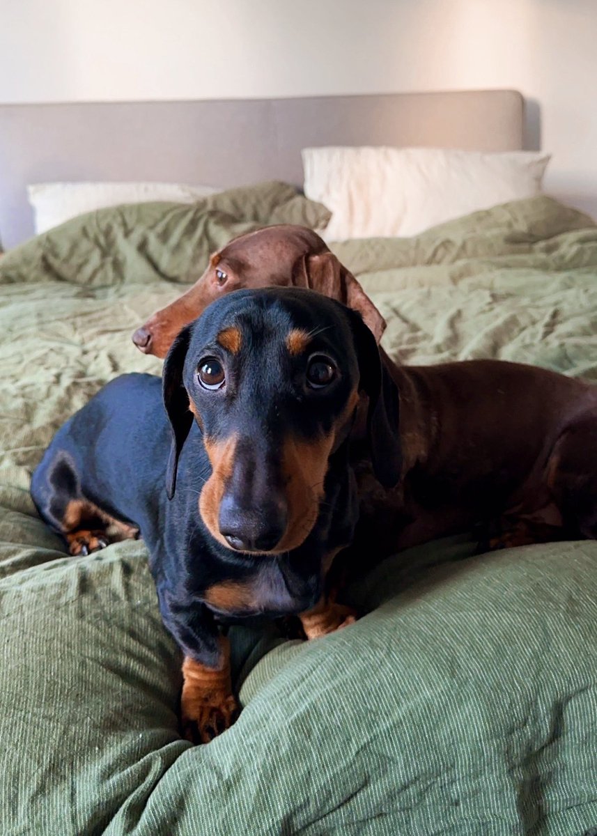 Peter oozing Dobby earthworm vibes as usual