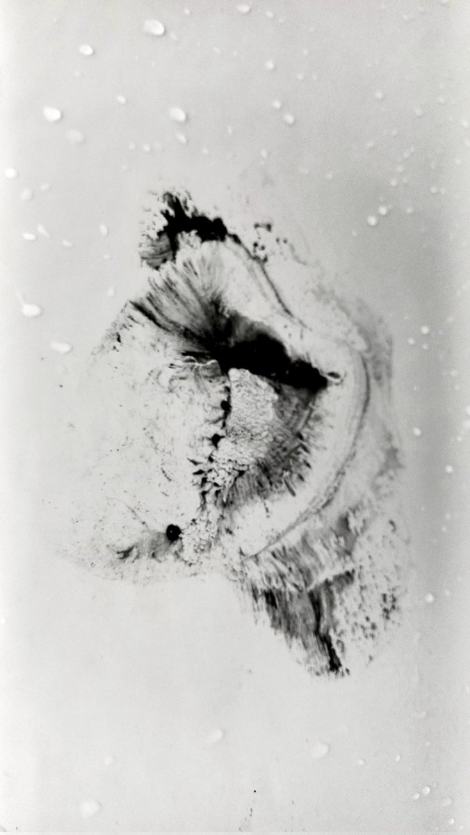 <a href="/fakewhale_xyz/">fakewhale</a> <a href="/foundation/">Foundation 🌐</a> Thank you for opportunity

This is my unminted photo artwork from series "From hidden to manifest" , black and white art.
