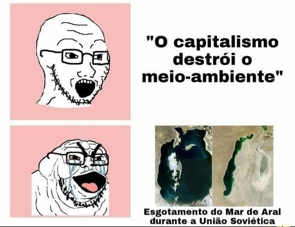 ancap_freestyle's tweet image. 