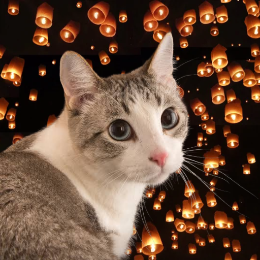 FirstGoogleCat's tweet photo. @cartelguzman420 Ape 100 sol into $ICHI

Search "cat" on google https://t.co/MY6S5rupAg