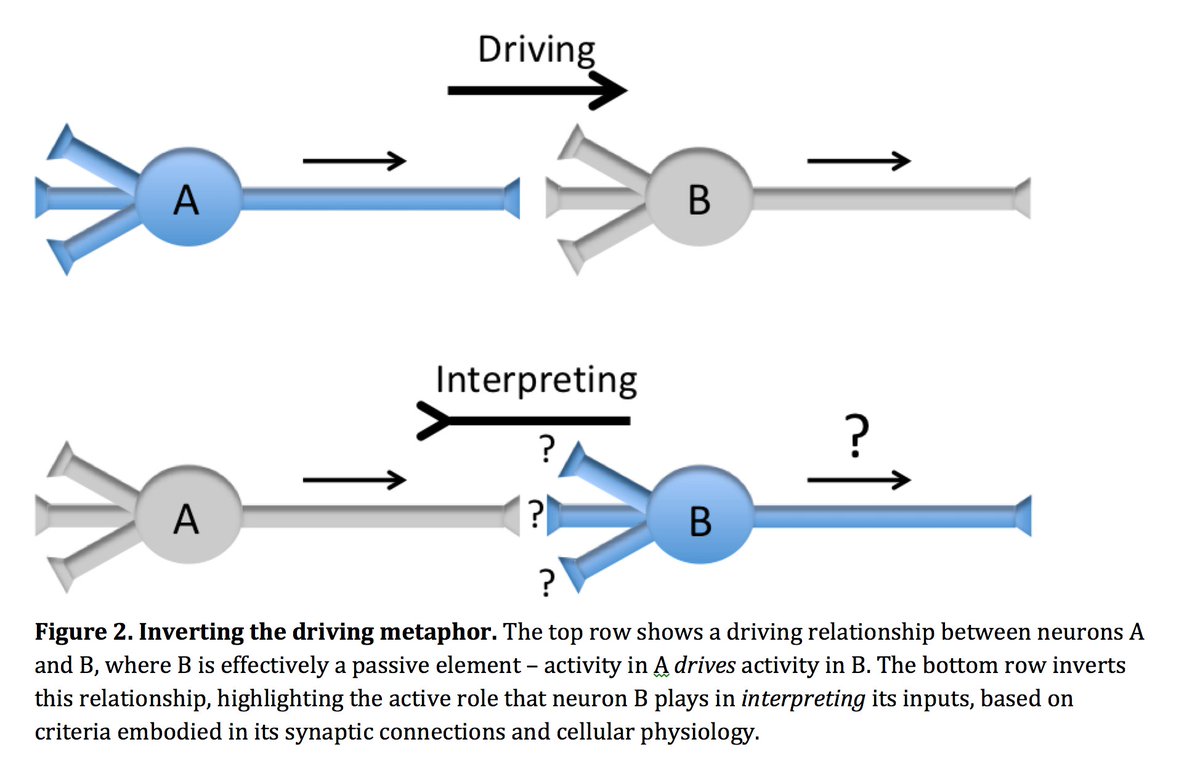 In this paper, we argue for an inversion of that perspective - where the receiving neurons are actively *interpreting* their inputs