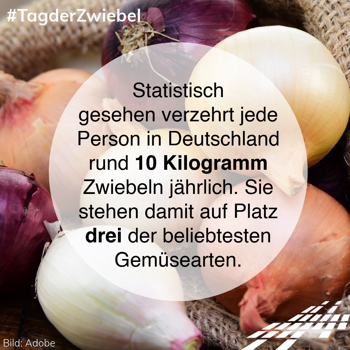 DialogBDP's tweet image. Schicht für Schicht ein Genuss 🧅 Zwiebeln bringen Abwechslung und Geschmack in unseren Speiseplan und auch hierbei hatte die Züchtung einen nicht unerheblichen Anteil 😇 #tagderzwiebel