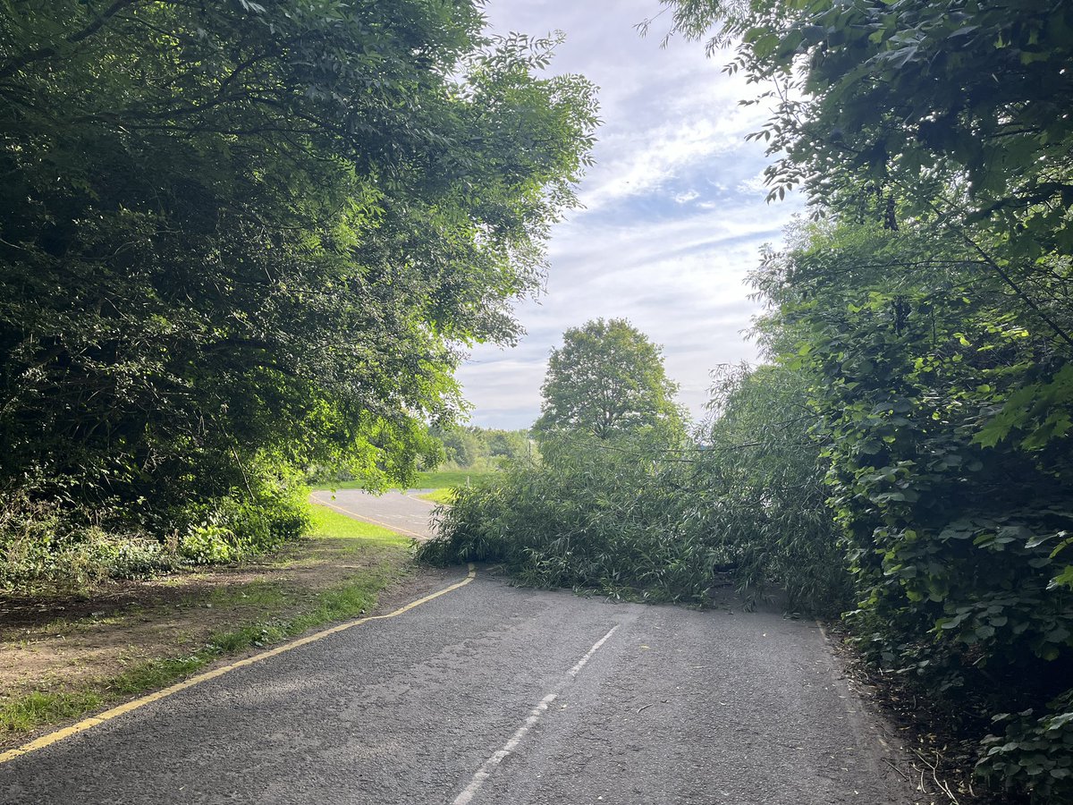 Mike Beard tweet media