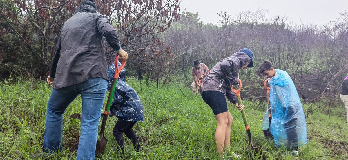 📍 Campaña de reforestación, luego de un incendio
Tres generaciones unidas 
📸Foto: Ariana Díaz, desde Costa Rica 🇨🇷

Día mundial del Árbol 🌲
28 de junio de 2024
#LaudatoSi #DiaMundialdelArbol #LaudateDeum #arboles