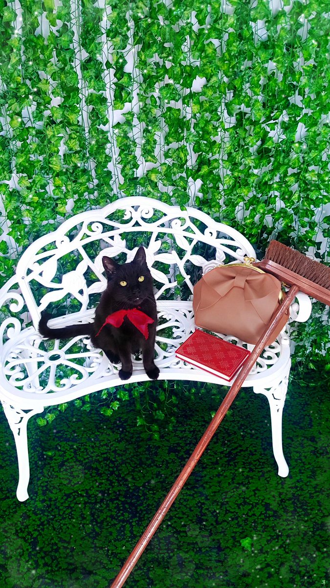 HauntedDoodle's tweet photo. Last Sunday, Jack crossed the rainbow Bridge. He was the Jiji to my Kiki and I cannot express how important he was to me. He was my home, and a part of me left with him. https://t.co/msmq69HBLq