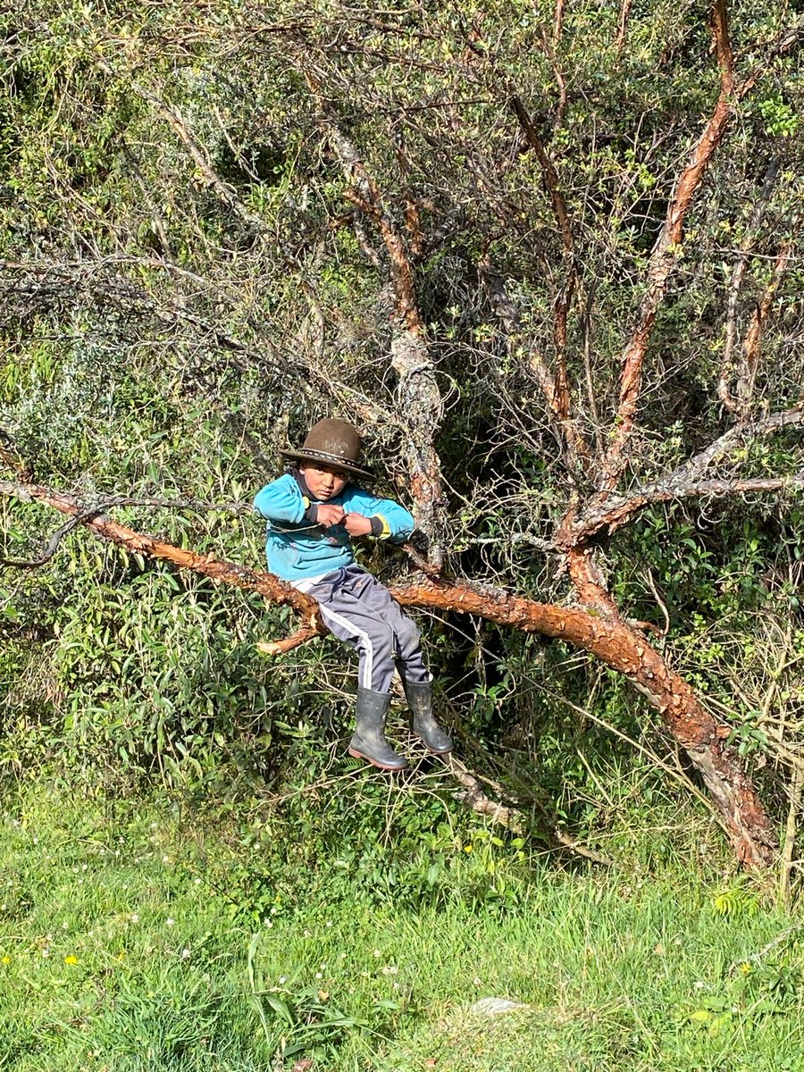 📍“Mi panzza favorito”    
Déjate abrazar por la Madre Tierra    
Hda. Hierba buena, Machachi 
📸Foto: Miriam Cáceres

Día mundial del Árbol 🌲
#LaudatoSi #DiaMundialdelArbol #LaudateDeum #arboles