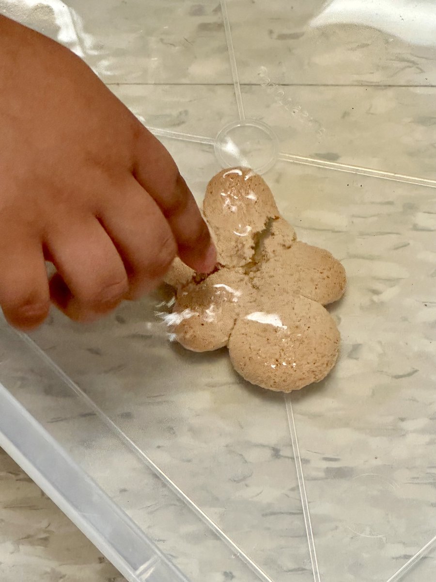 LucyReynaMoore1's tweet photo. Question: What would’ve happened to the Gingerbread Man if he tried to cross the river on his own?  We found out (and also ate one)!  ⁦@Hinojosa_AISD⁩ ⁦@Keeble_AISD⁩ ⁦@Primary_AISD⁩ ⁦@brainardjill⁩ #myaldine https://t.co/gYQfju5eul