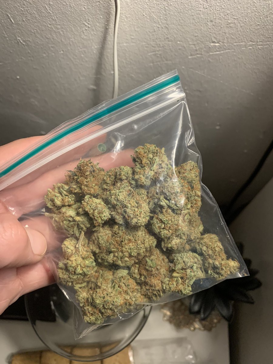 STONERS R US 🍃 tweet media