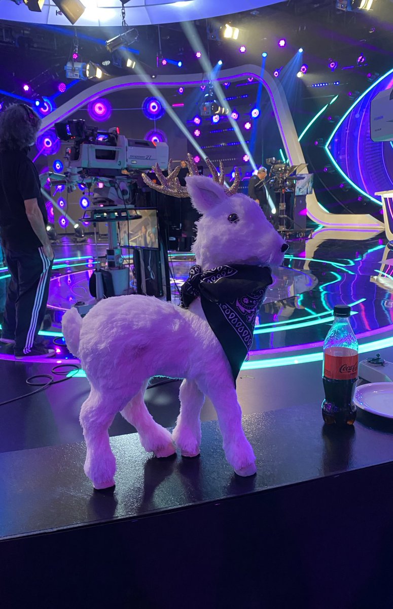 LA CARIÑO NUEVA 🥰💖