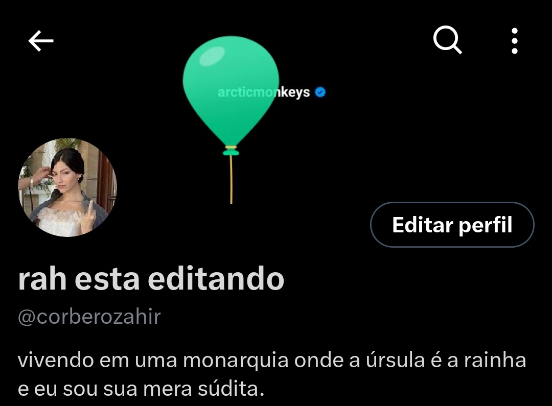 corberozahir's tweet photo. aparecendo aq só pra ver o balão subindo 🎉🎉🎉🎉 https://t.co/Cp10x0etfX