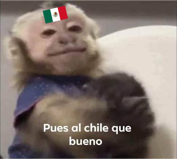 pxnchedanny's tweet photo. *La Selección Mexicana pierde*

Yo automáticamente: https://t.co/obfvbbMnpH