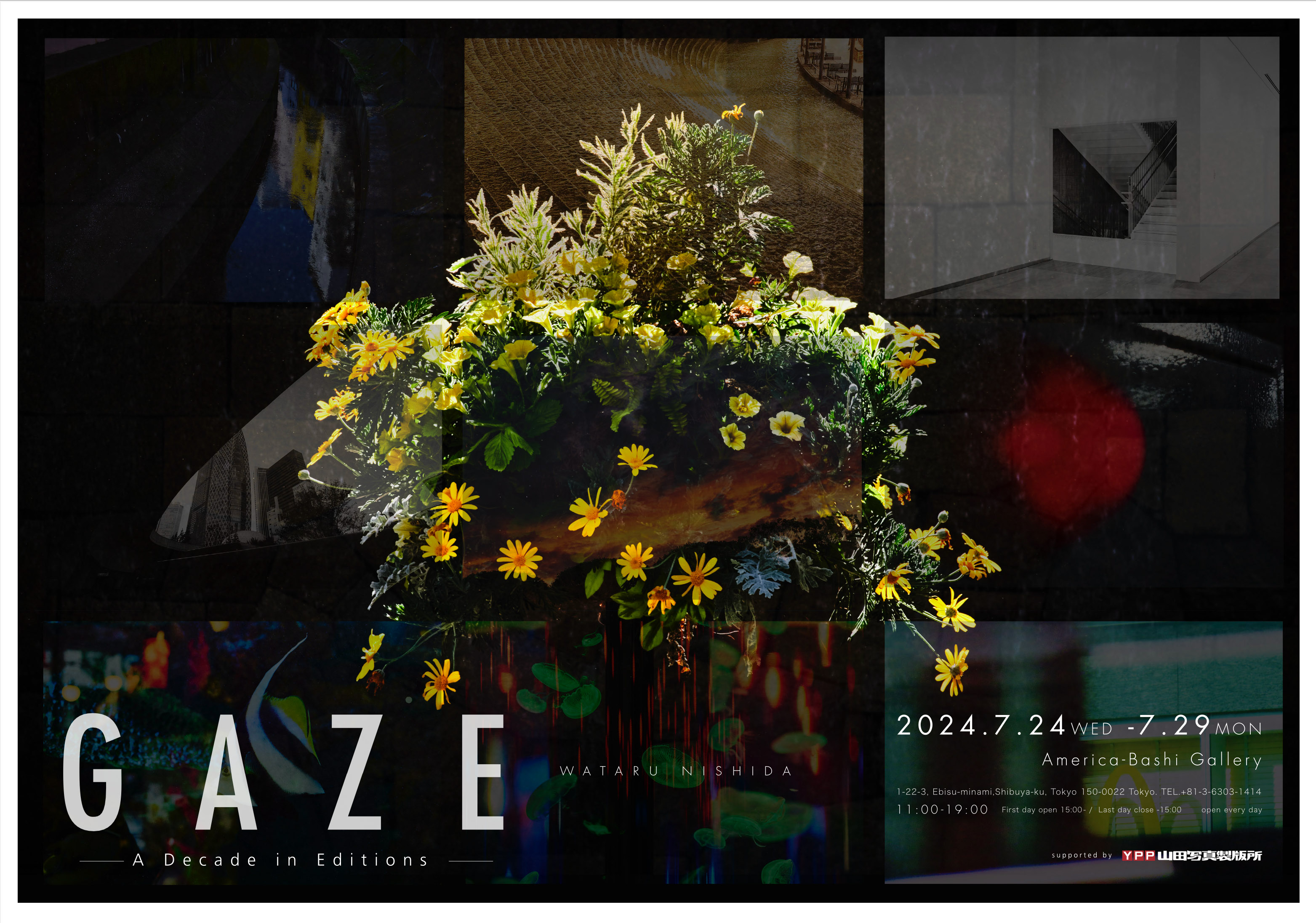 西田航 写真集 GAZE vol. 1〜8(Wataru Nishida / 西田航 | 目 西田航 写真集 GAZE vol. 1〜8(Wataru Nishida / 西田航 | 目