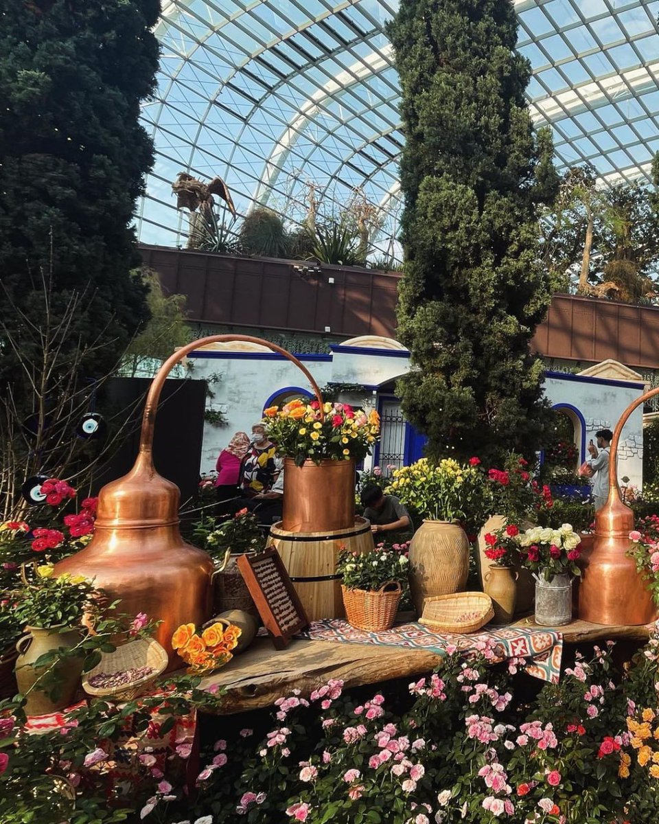 joel_collier77's tweet image. 