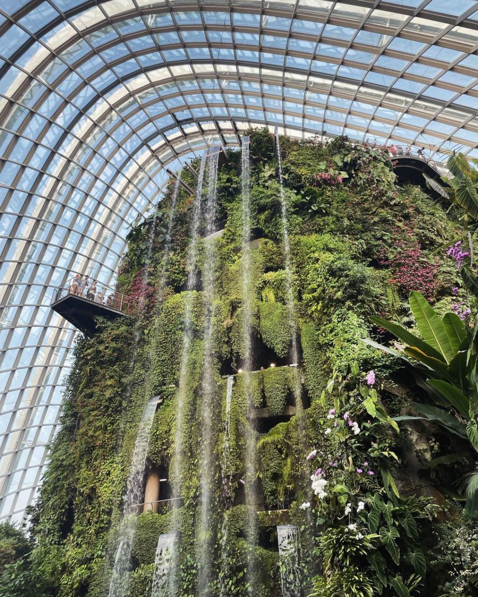 joel_collier77's tweet image. 