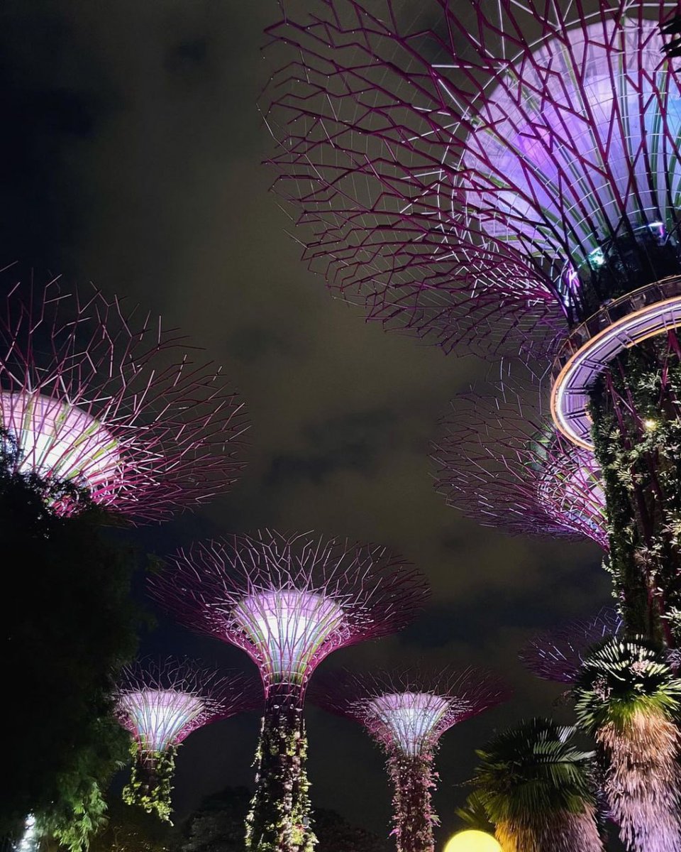 joel_collier77's tweet image. 