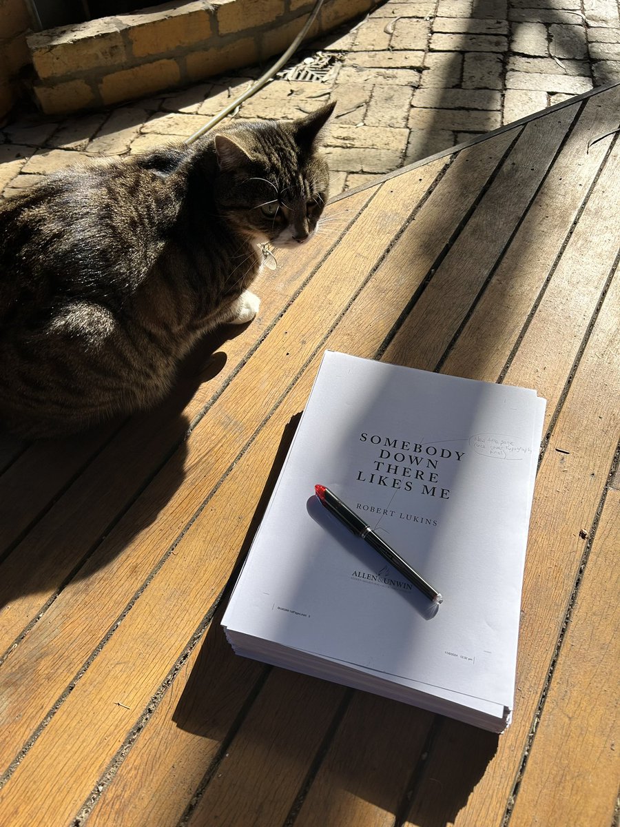 Robert Lukins tweet media