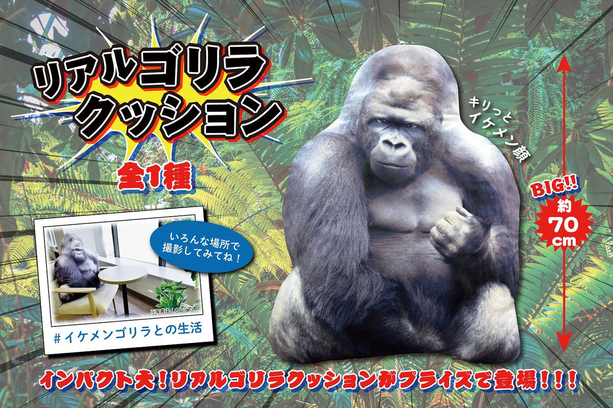 気まぐれゴリラ 🌟#ラウワンの中の人イチオシプライズ🌟 6月28日(金)より キリリとした