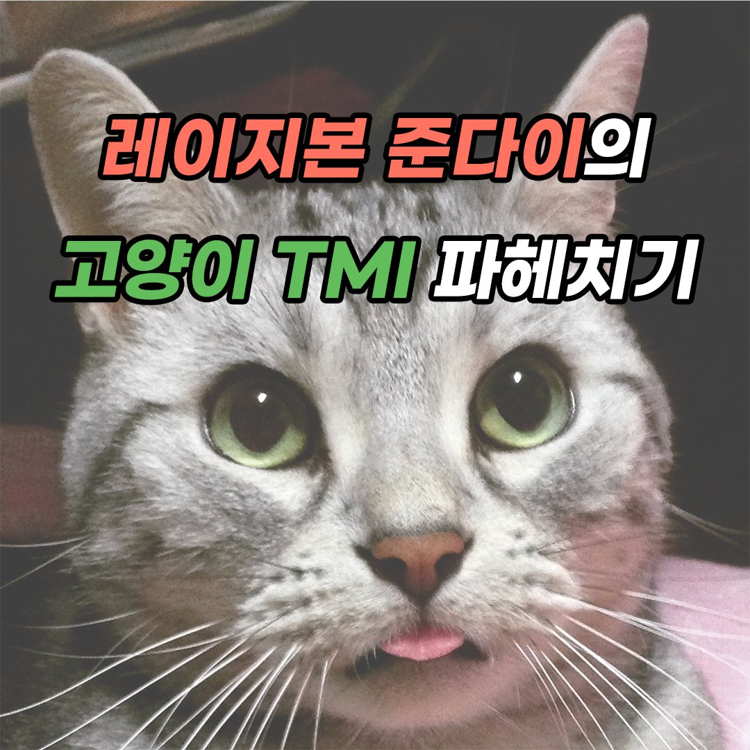 bandlazybone's tweet photo. 레이지본의 유일한 집사!
‘나비야’ 발매 맞이 준다이의 주인묘TMI 대방출✨

레이지본 Single Album [나비야]
2024.07.02 12PM(KST)

#레이지본 #Lazybone
#나비야 #Nabiya https://t.co/ZorkSQpEjr