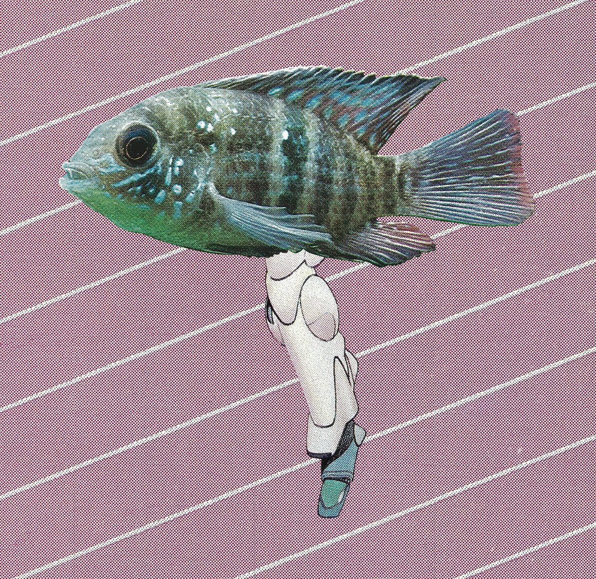 “Legfish Emerges from the Pages” by Jonathan Gedeon 🐟
🔗 Link in bio!

#chicago #chicagoart #chicagomakers #chicagosmallbusiness #chicagozine #creativityclubhouse #creatorspace #wholesome #wholesomezine #zine #zineart #create #intern #internship