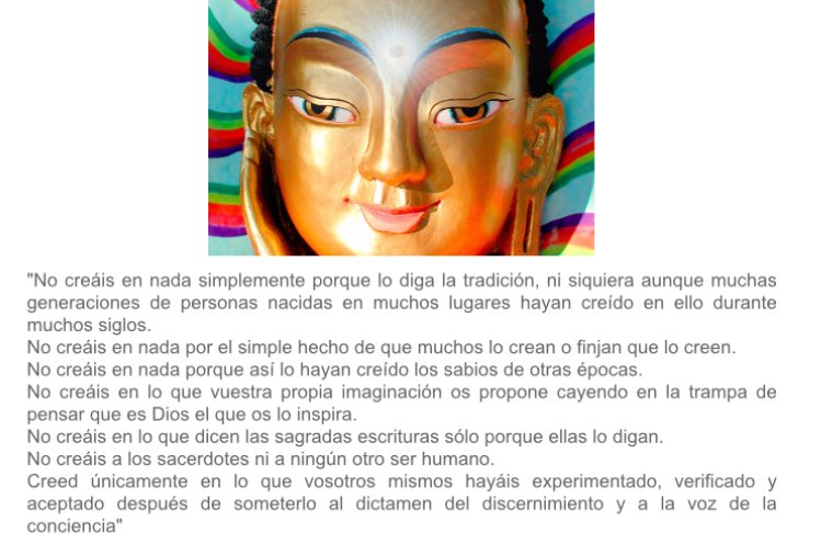 3.141592... tweet media