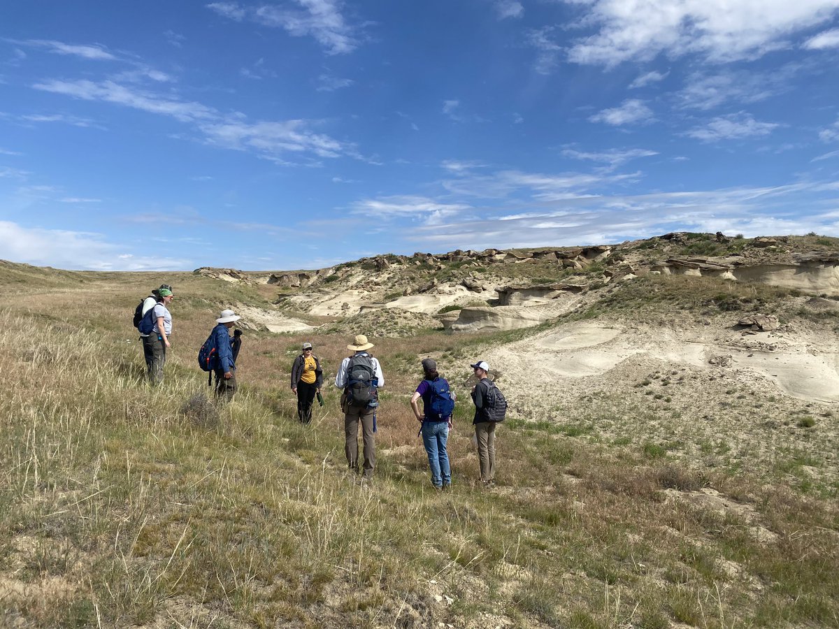 Megan Whitney tweet media