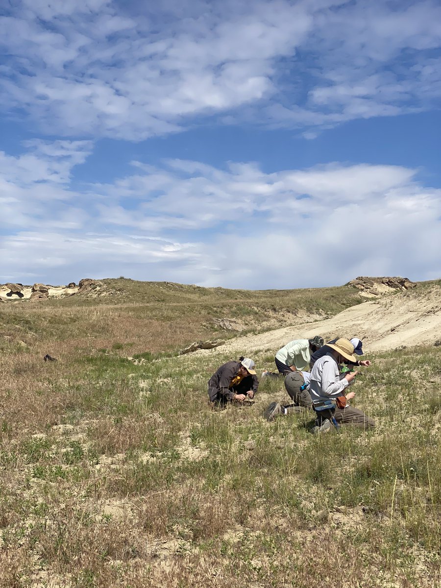 Megan Whitney tweet media