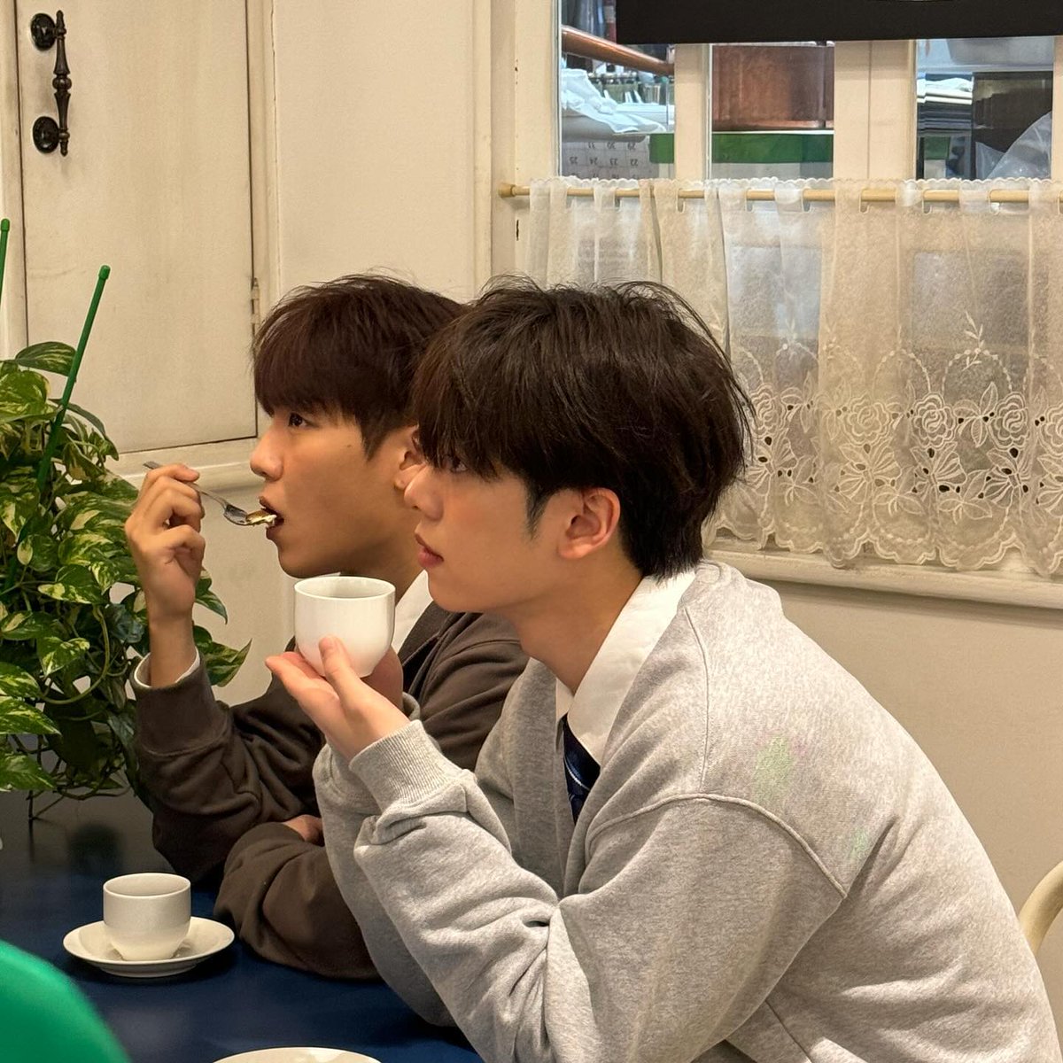 비인🫛 tweet media