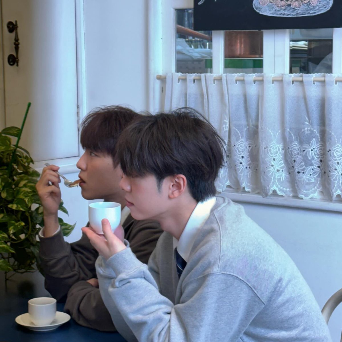 비인🫛 tweet media