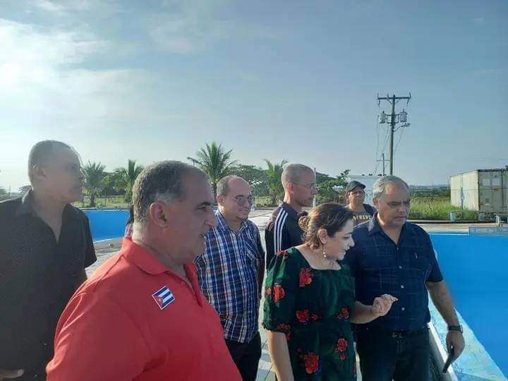Angel Luis Velázquez Acosta 🇨🇺 tweet media