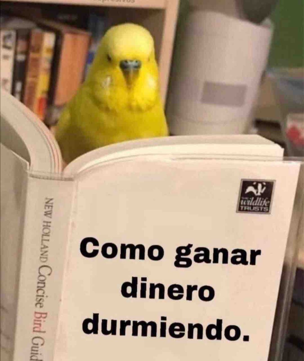 Guarromantico_'s tweet image. A ver 🤔