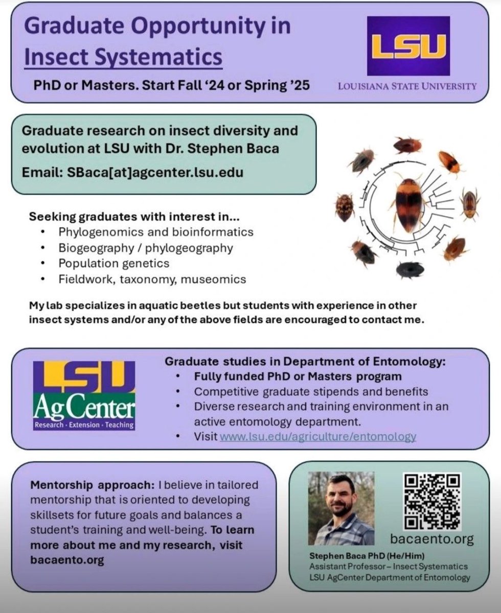 dafemlions's tweet photo. Masters and PhD opportunities in insects systematics https://t.co/JmGhqa3stu