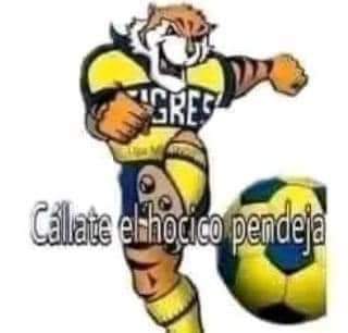 Rosty___r's tweet photo. @miseleccionmx La neta yo mando mejores centros que antuna https://t.co/c08aMVbHkh