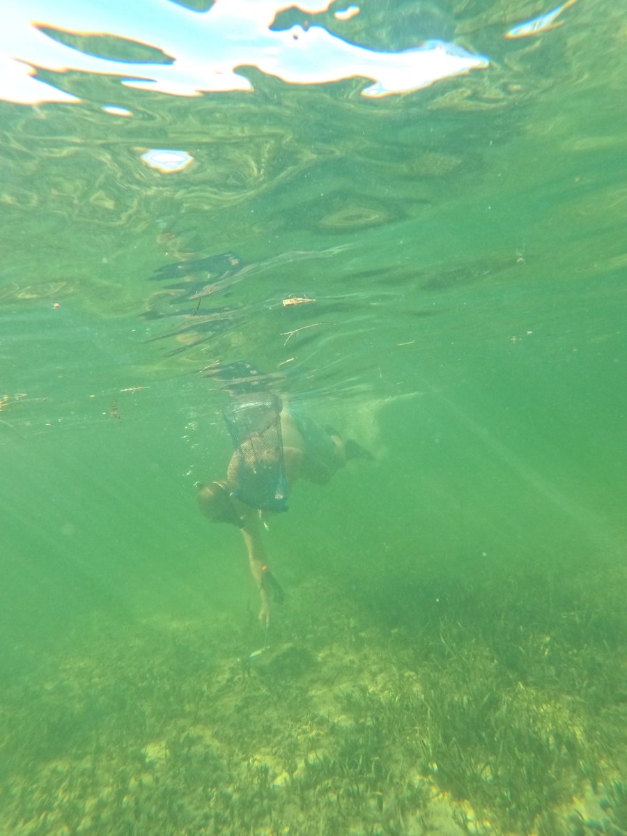 IanH77's tweet image. Fantastic day one of our 5th heatwave sampling in the Florida Keys. Its hot! 87F/33C in the air and not much different in the water. Sampled 5 sites today to provide valuable comparison to 2023. Always amazing to work with my friend and colleague @HensonMW_08