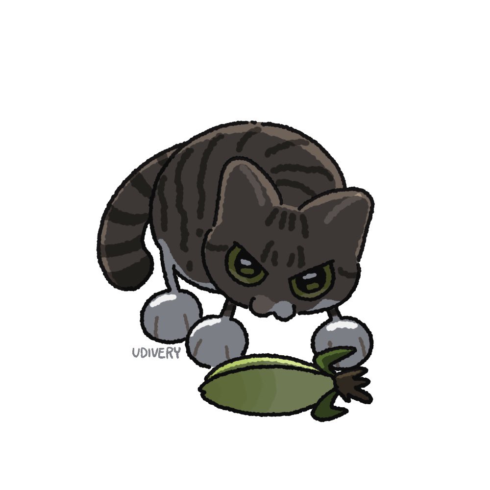 우디베리 (@a_udivery) on Twitter photo 