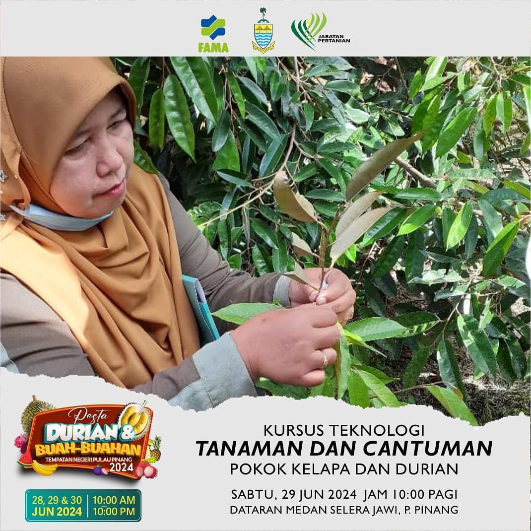 Fahmi Zainol tweet media