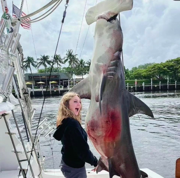 Shark Guardian tweet media