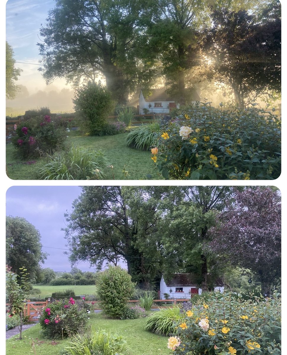 mtully21's tweet image. #ViewFromTheWindow
What a difference a day makes… yesterday was Magic, today is Morose with a gale blowing and an angry red hue on the Eastern sky.
Still an’ all…
#ThisIsCavan

And it’s Good.