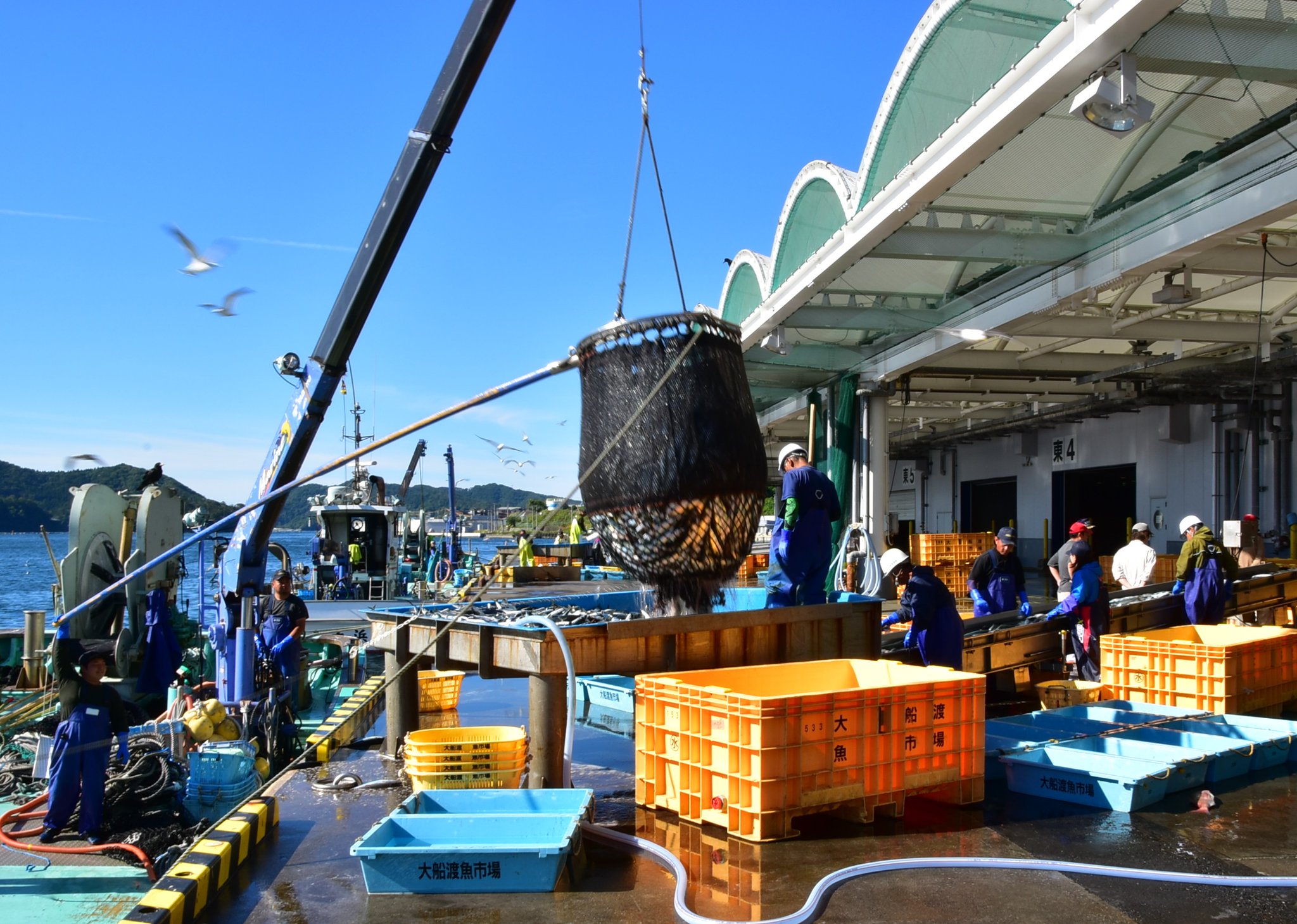 ゆう様　予約分　魚沼事前 魚民 佐沼店(登米市/居酒屋)＜ネット予約可＞ | ホットペッパー