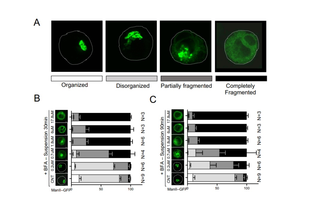 Living Machines-NCBS tweet media