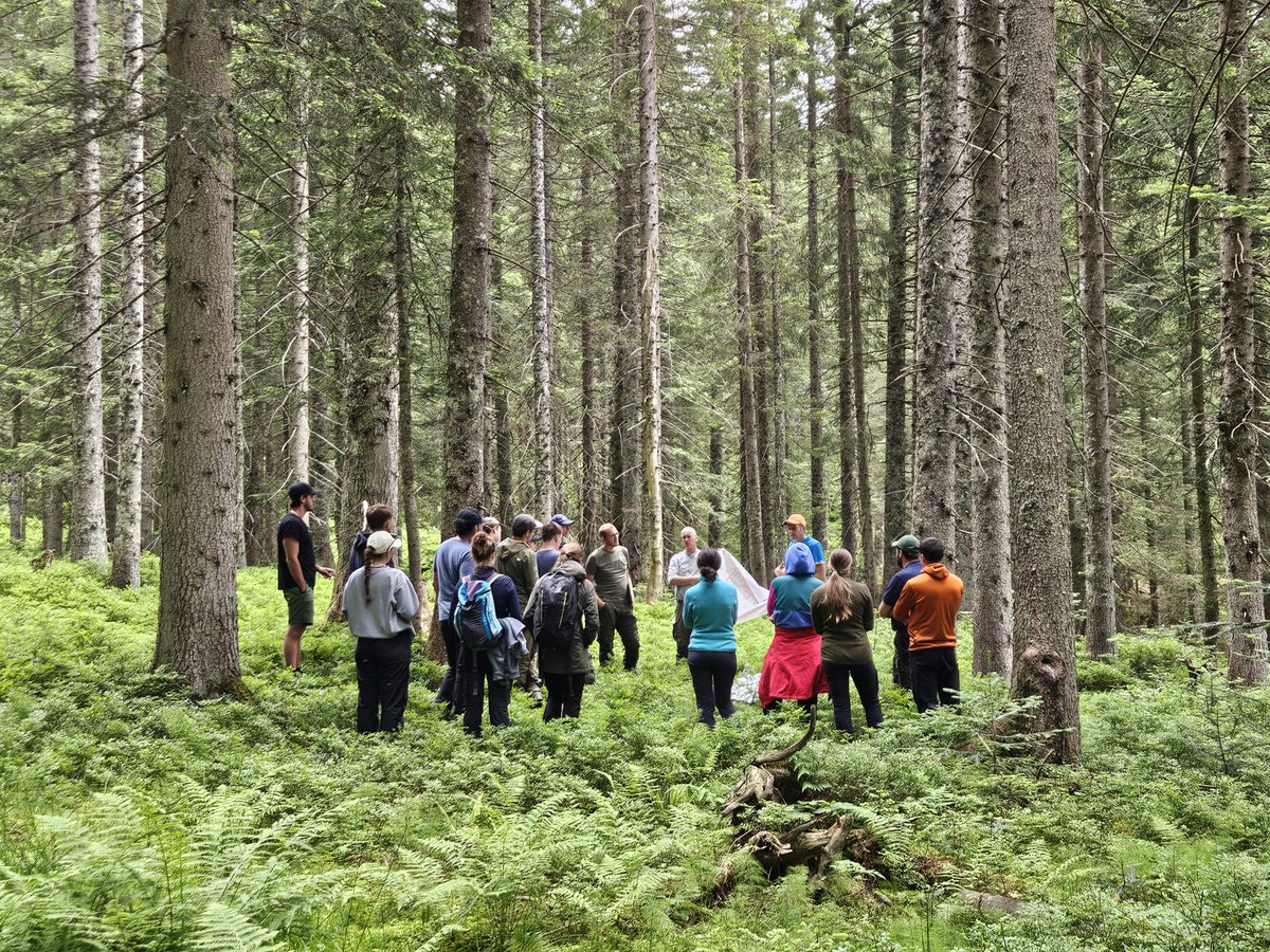Being in the field and discussing with experienced practitioners is such a powerful way of learning, both for students and professors😉. Great two weeks of field-based classes with wonderful students, visiting exciting forests.